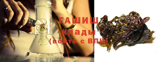 стаф Новозыбков