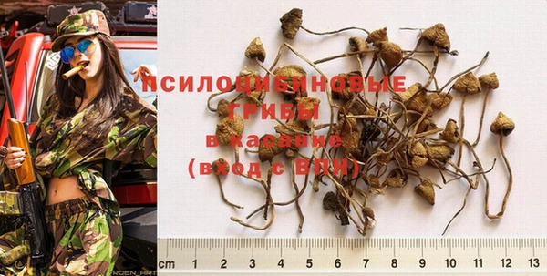 скорость Ахтубинск