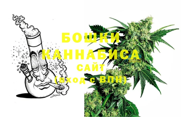 индика Нея