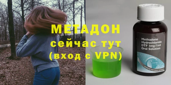 индика Нея