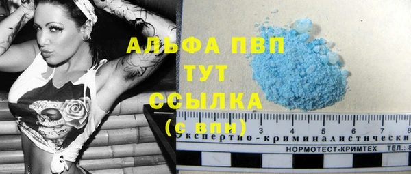 индика Нея