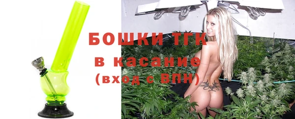 индика Нея