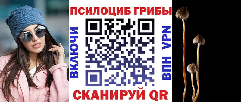 Галлюциногенные грибы MAGIC MUSHROOMS  купить   Рассказово 