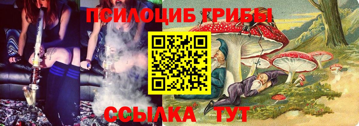 Галлюциногенные грибы Psilocybe  Вход с VPN  Рассказово 
